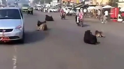 препятствие на дороге