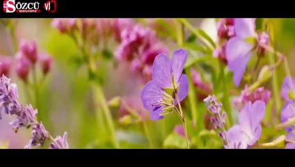 Çılgın Kalabalıktan Uzak Filminin Fragmanı