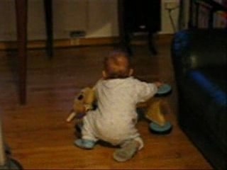 Attention petit buldozer ...