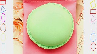 go2fionna USB Built-in Rechargeable Macaron Hand Warmer- Mint
