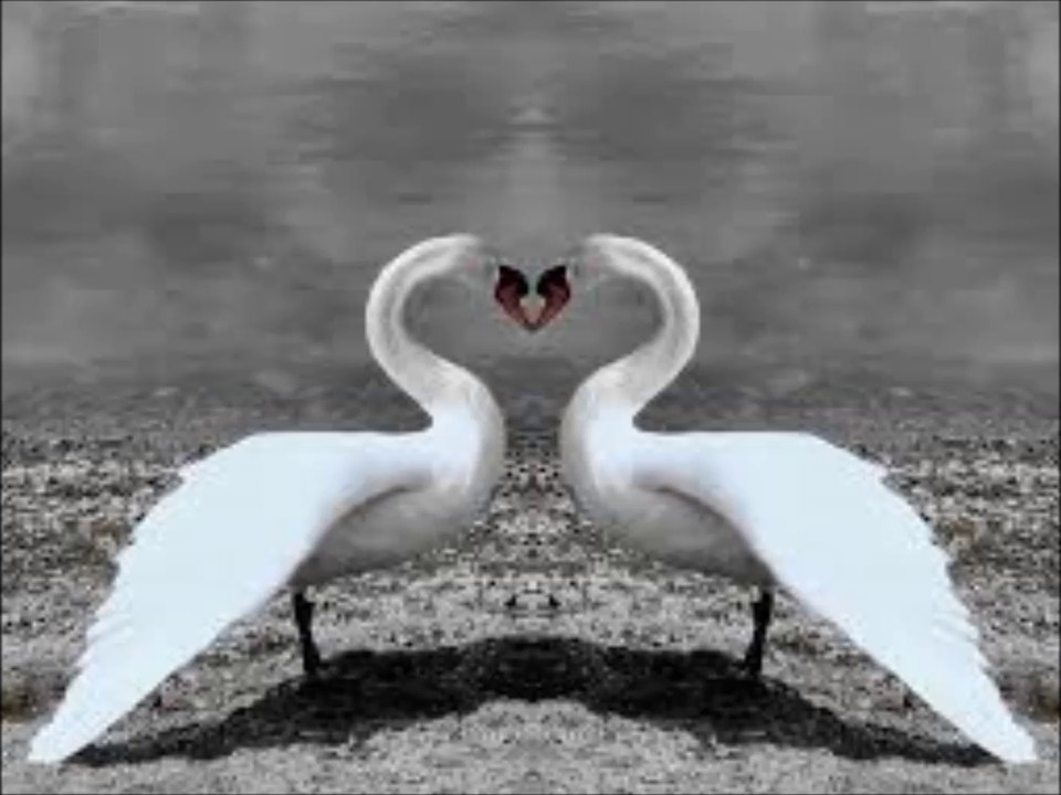 Jännerwein-Daran Haben Wir Die Liebe Erkannt