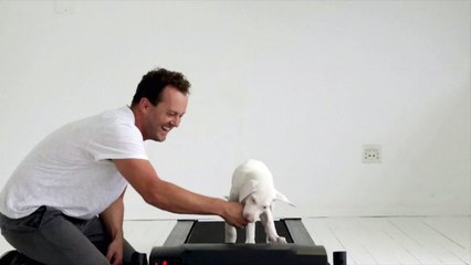 The Pegasus Project