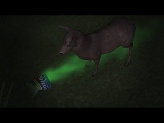 ドリトス好きのシカを救助　米