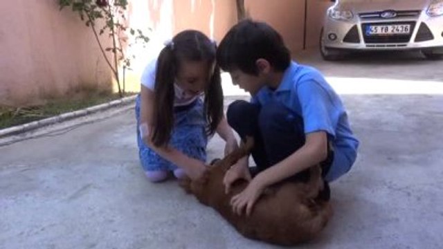 Türkiye Onu Babasının Mezarına Bıraktığı Mektupla Tanıdı