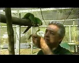 .tu peut préparer l' café noir... (interprétation personnelle)°°°