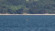 Çanakkale 2015 Tatbikatı Çerçevesinde Denizdeki Mayınlar İmha Edildi