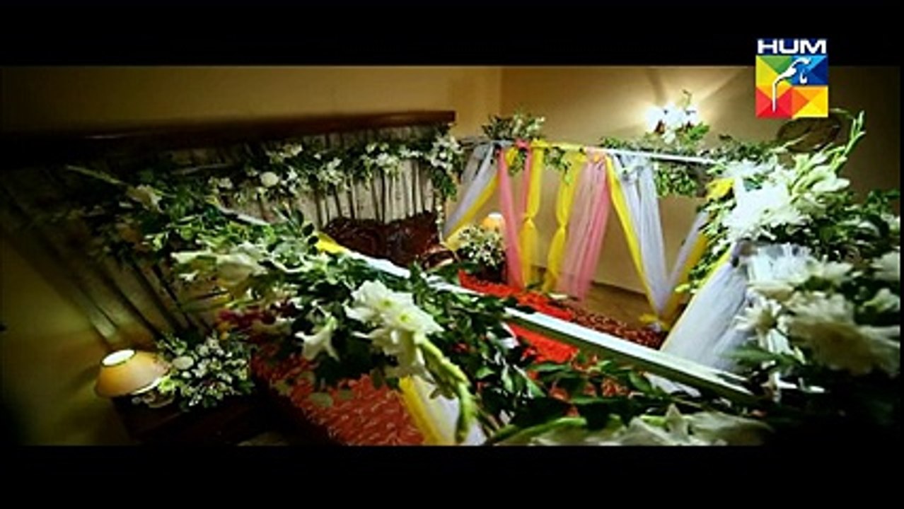 Aye Zindagi Episode 10 Full High Quality HUM TV Drama 14 May 2015 _