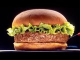 Scientist serves world's first lab-grown hamburger