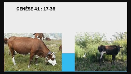 David Naud - Qu'est-ce que Dieu pense de l'austérité ?