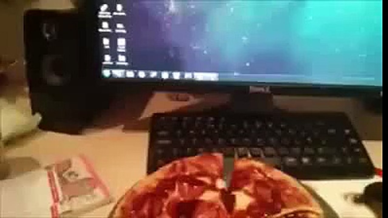 The Cat Trying To Steal Pizza - Funny Videos