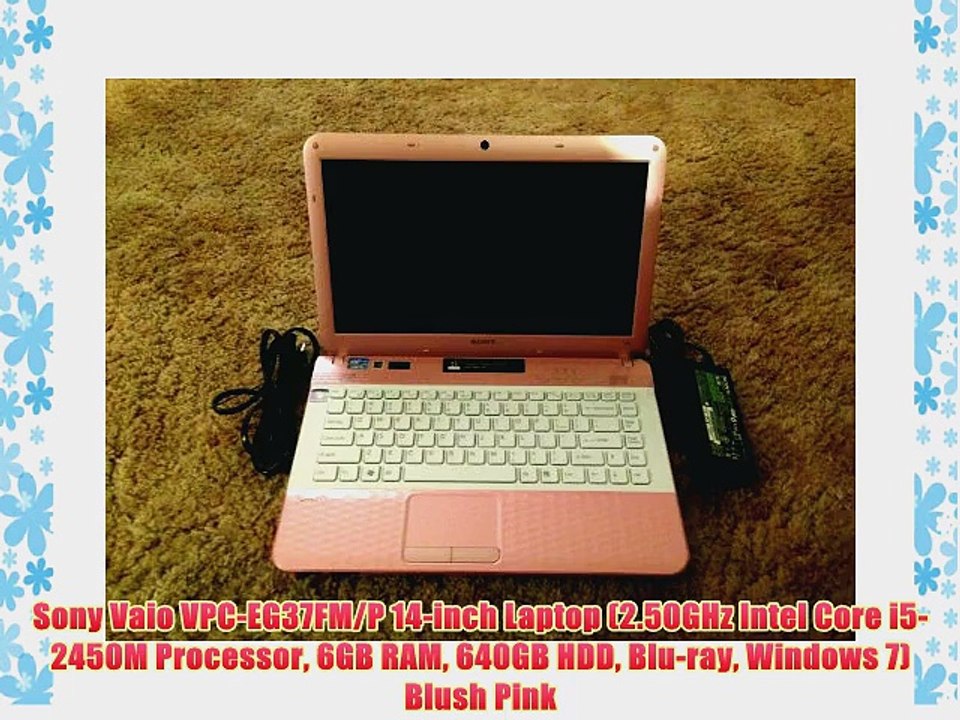 Sony Vaio VPC-EG37FM/P 14-inch Laptop (2.50GHz Intel Core i5-2450M Processor 6GB RAM 640GB