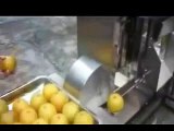orange peeling machine