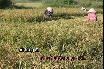 Nguyễn Đức Quang - Đường Việt Nam - Karaoke