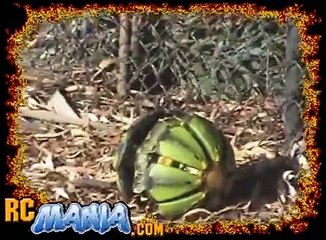 Tyco Shell Shocker - RC Mania