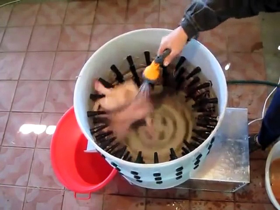 Tavuk Yolma Makinesi