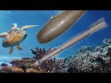 Bombs dropped on Australia Great Barrier Reef by US Marines
