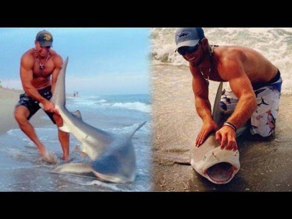 UPDATE: Shark wrestler pulls baby shark to shore while beach fishing