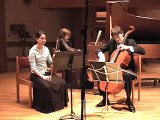 Biarritz Trio playing Dumky Trio, Op. 90 by Dvorak
