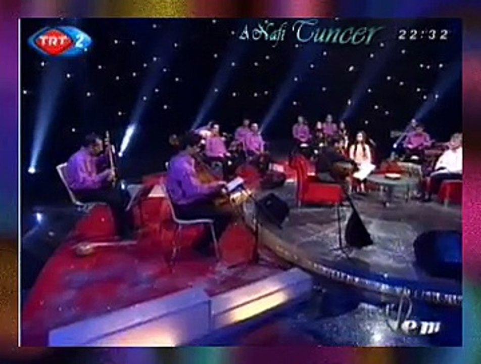 Dilek TÜRKAN *Kadifeden Kesesi Havadan Gelir Sesi*