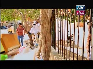 Behnein Aisi Bhi Hoti Hain Episode 226 Full on Ary Zindagi 14 May 2015