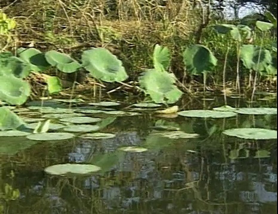 Australien (Teil 1) - Northern Territories