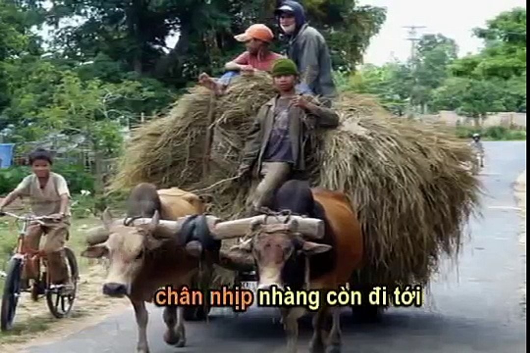 Nguyễn Đức Quang - Hy Vọng Đã Vươn Lên - Karaoke