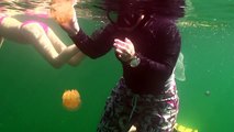 Laurie freedive at Palau Jellyfish Lake