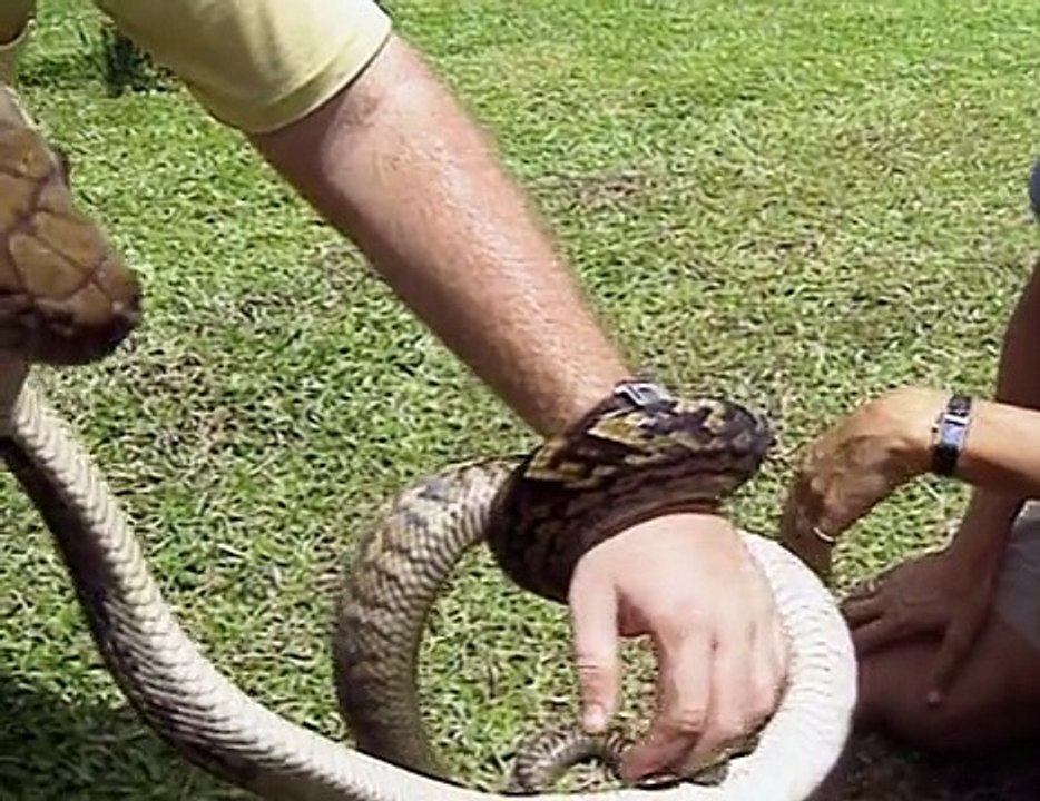 Australien (Teil 2) - Queensland