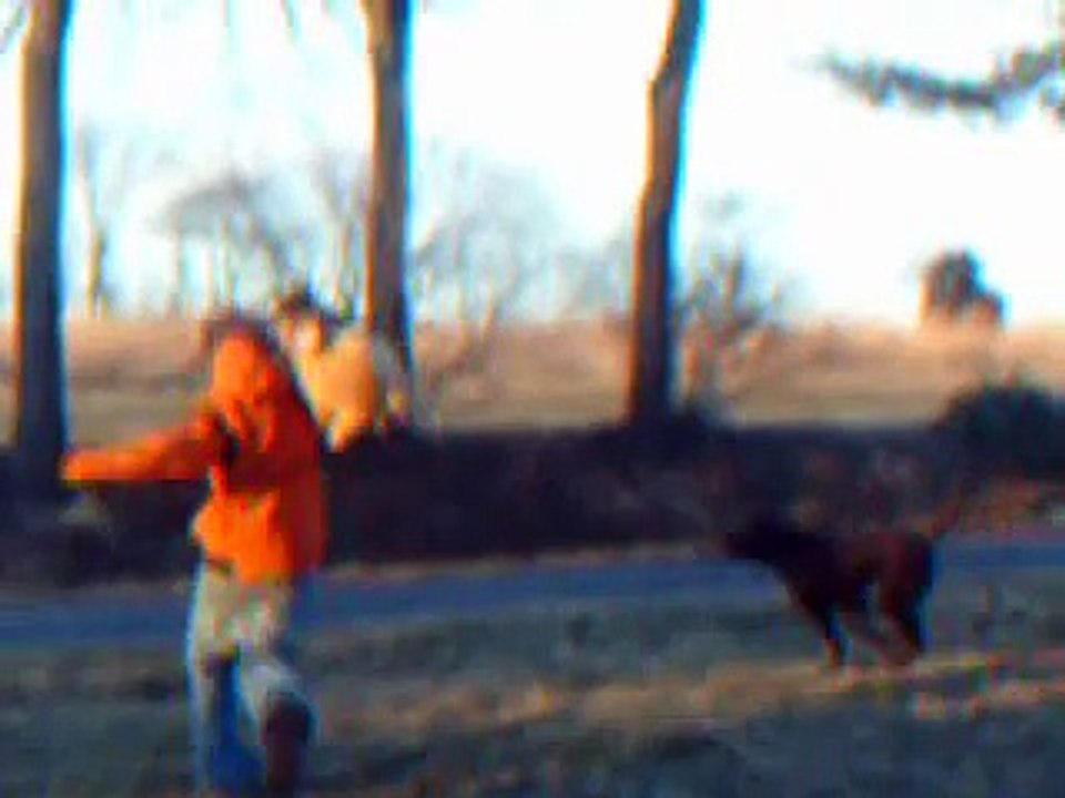 Coyote attacks human