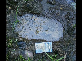 Conférence sur le bigfoot  (Muséum, 3sur5)