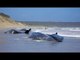 Man-made underwater noise pollution disturbs whales