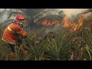 Indonesia to begin cloud-seeding to tackle Singapore haze