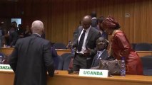 Afrika Birliği Barış ve Güvenlik Konseyi - Addis