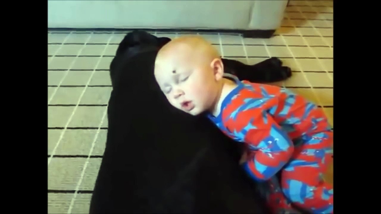 Dogs Best Nannies for Kids Compilation November 2015