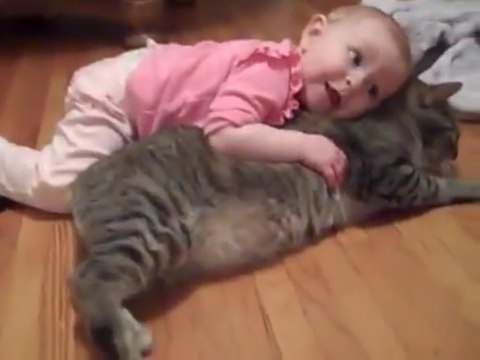 Ангельское терпение у кота