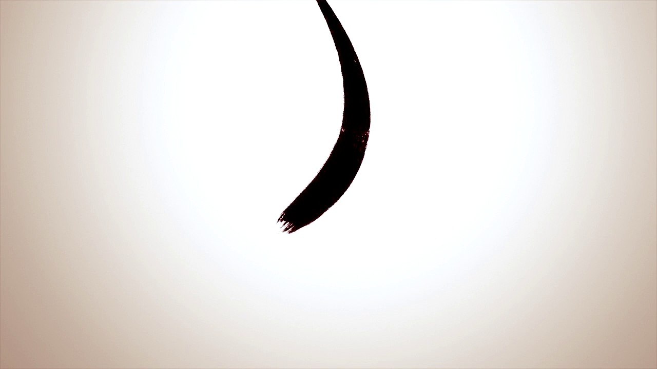 The Round - Fictional Weapon 1