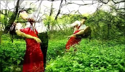 Ammad Mir - Terian Mein Terian (Official Music Video)