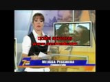 CONSULADO ESPAÑOL EN LIMA REPORTAJE FRECUENCIA LATINA