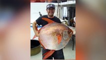 Scientists Identify First Known Fully Warm-Blooded Fish
