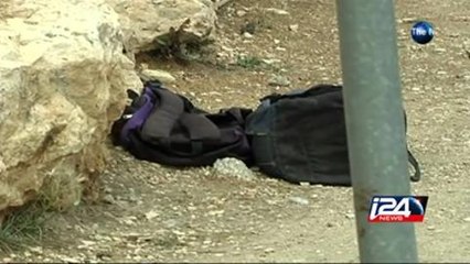 Four Israelis Injured in a vehicular terror attack