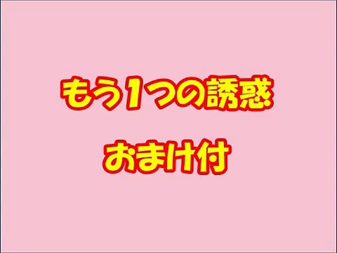 Dog said No chance panic!!- Cute & Fanny my mix dog (Pomeranian & Toy poodle) animal