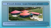 Fixed dome type biogas plant