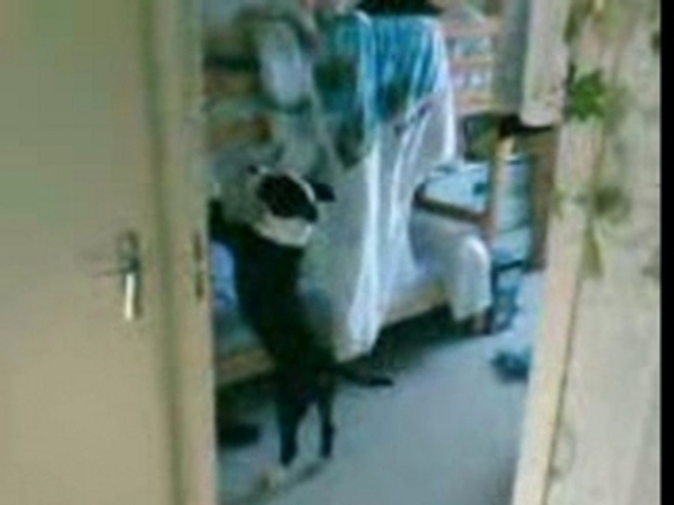 VID002