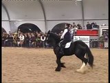 il  cavallo piu grande del mondo