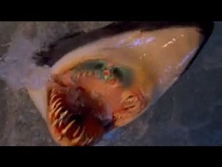 Man survives 60 hours underwater after tugboat flips