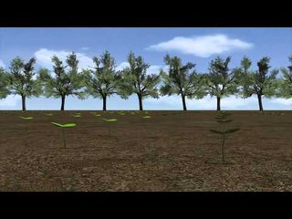 Thailand seed bombs: aerial reforestation to foster new growth on damaged land by 2017