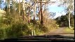 Driving Through the Lane Cove River Park in Sydney, NSW