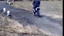 125 YZ albeuzzzzzzzz