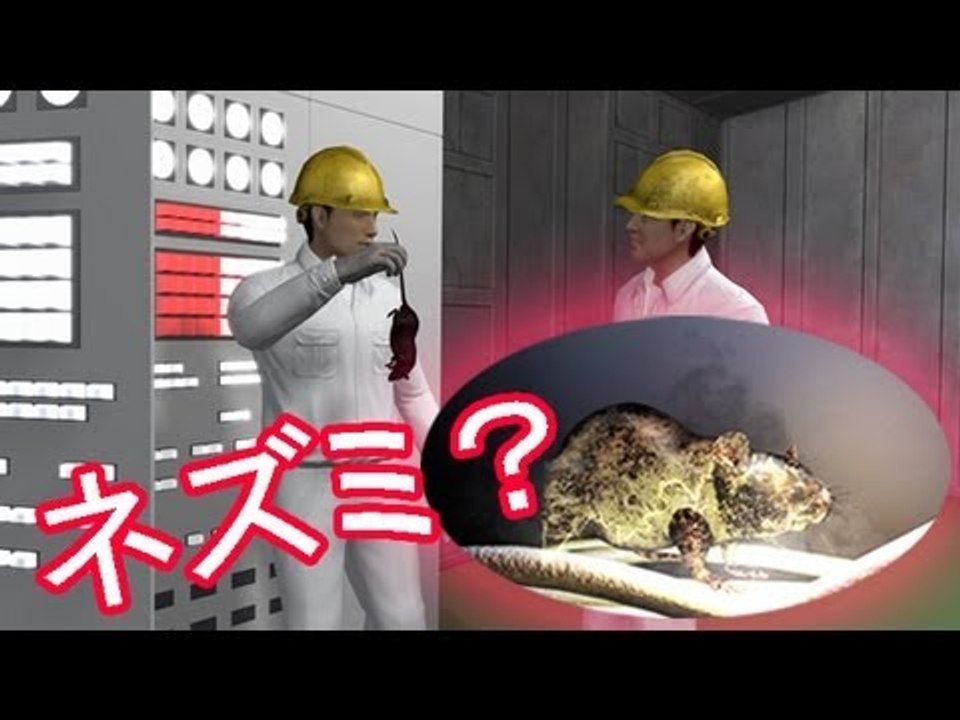 福島第１停電、ネズミ原因か