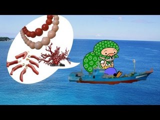 サンゴ密漁で中国の漁船拿捕